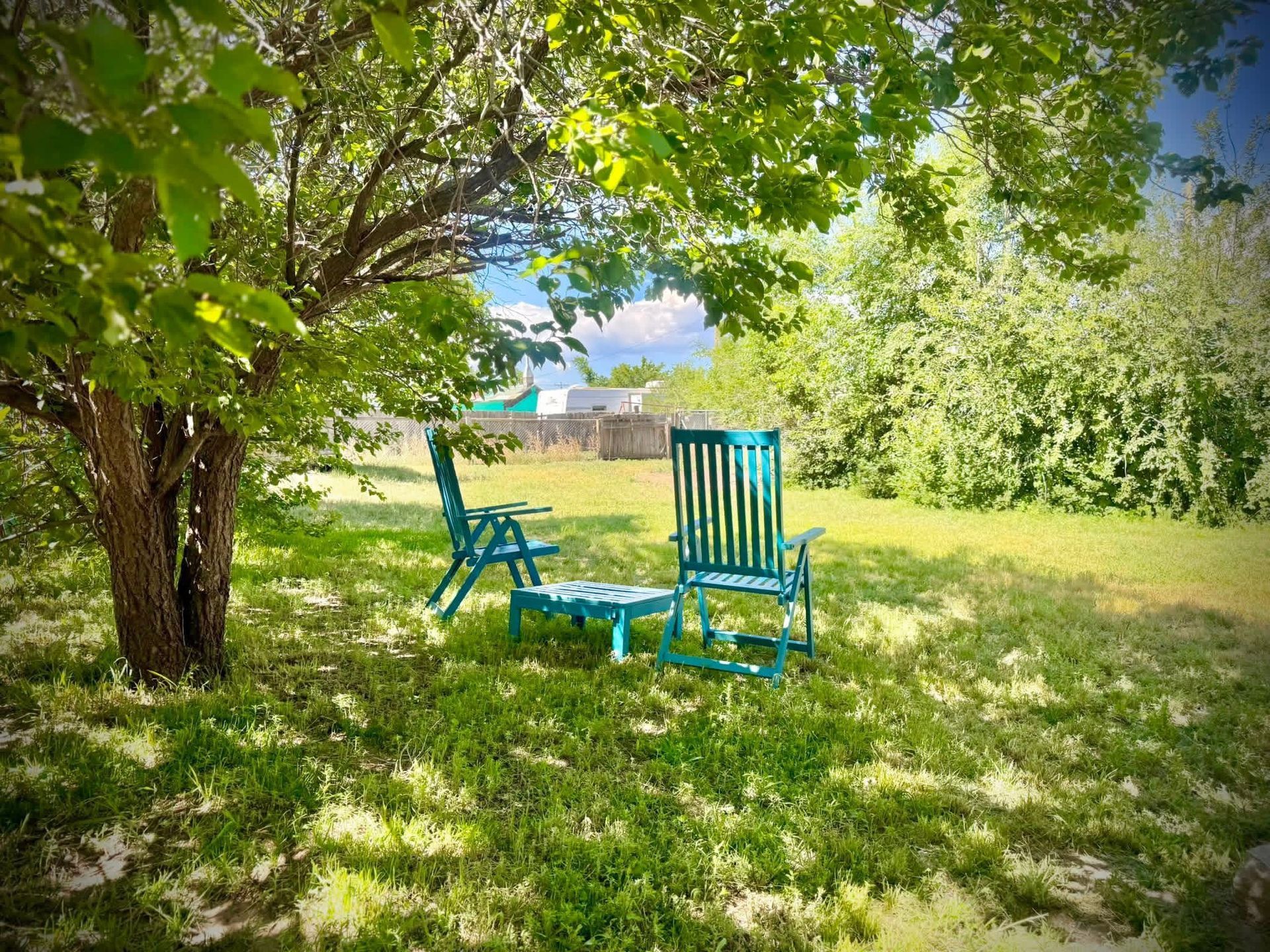 Backyard seating area under trees at Stucco Casa Antonito