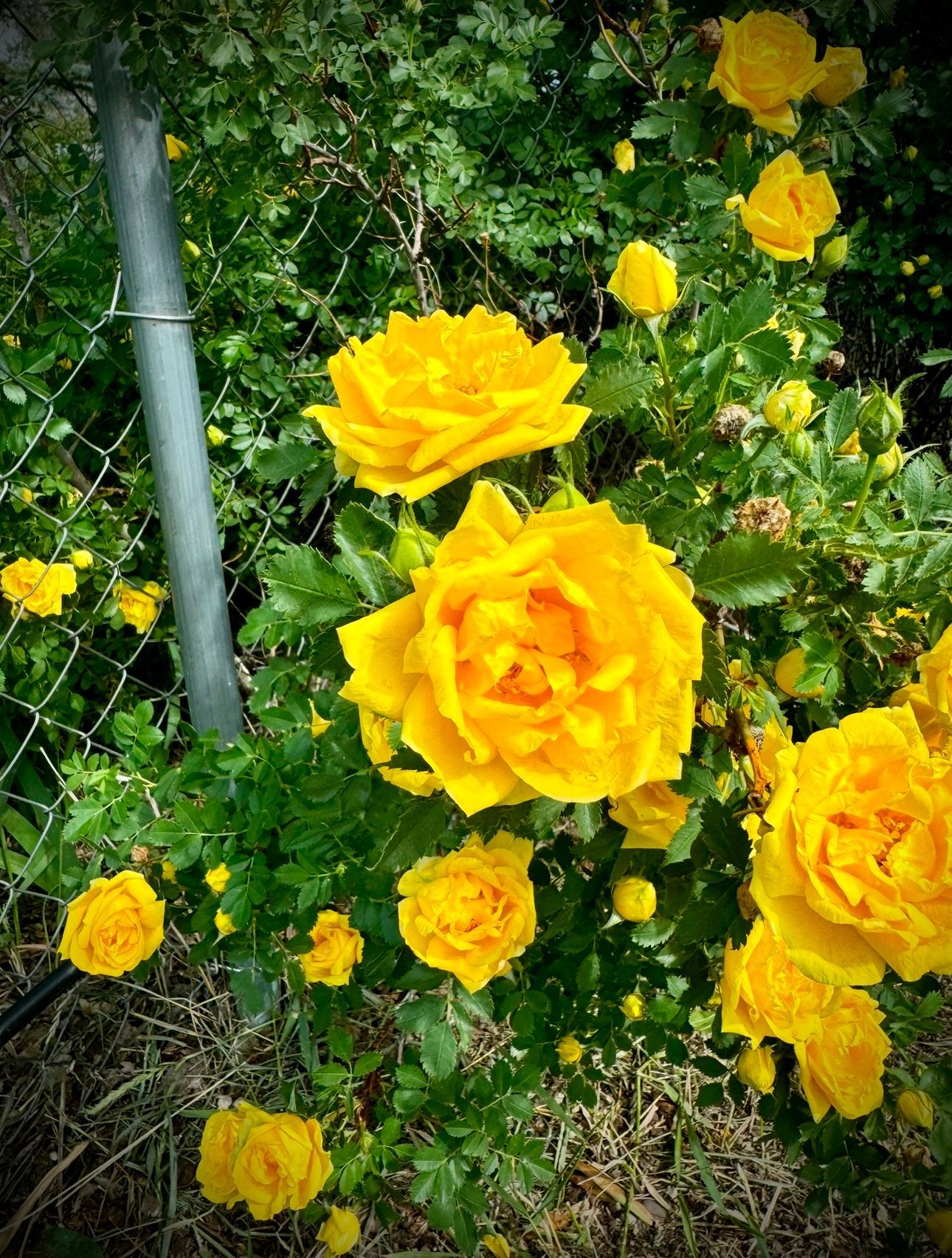 Dark night sky over San Luis Valley Colorado with visible Milky Way