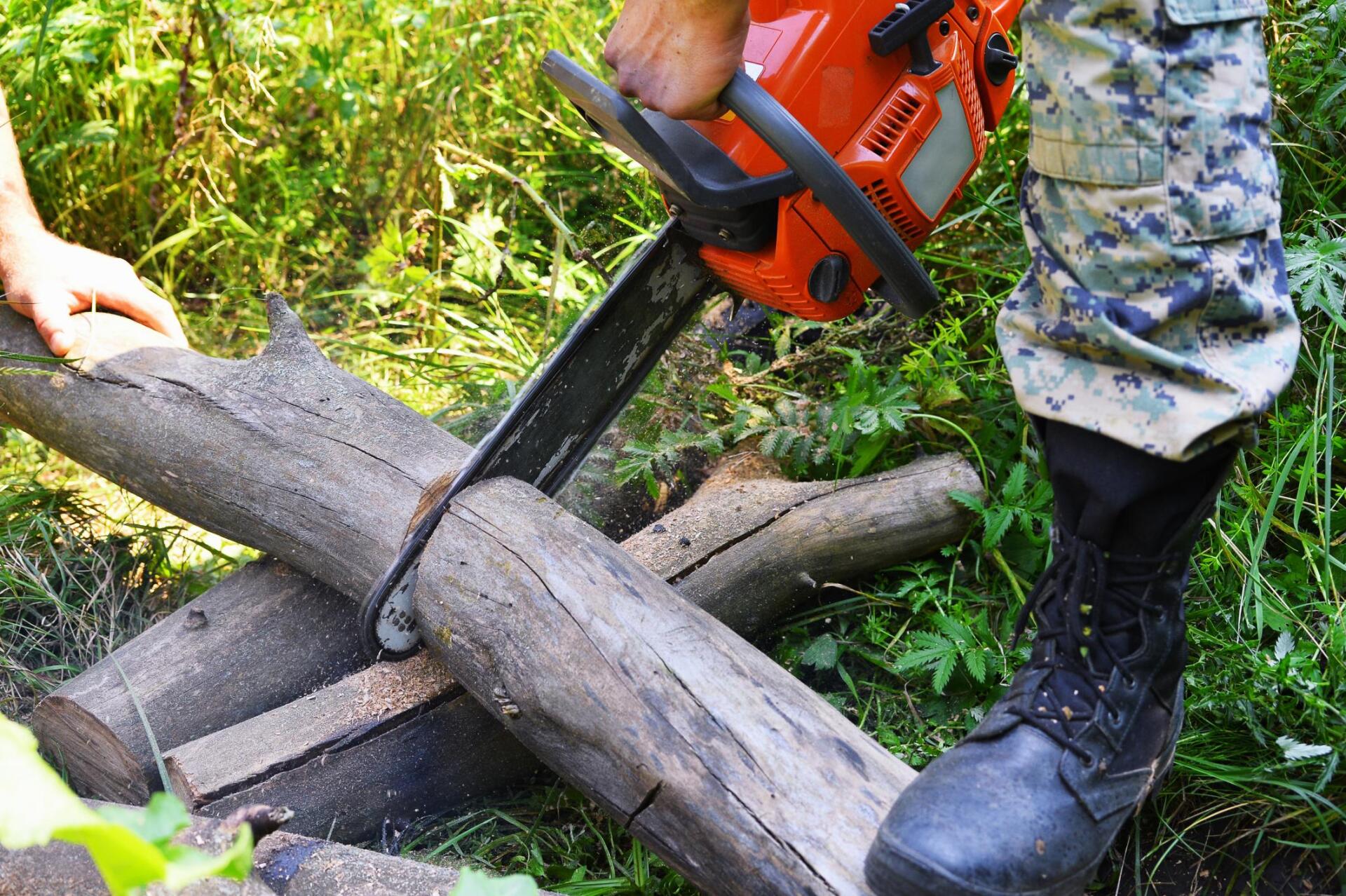 man sawing a log