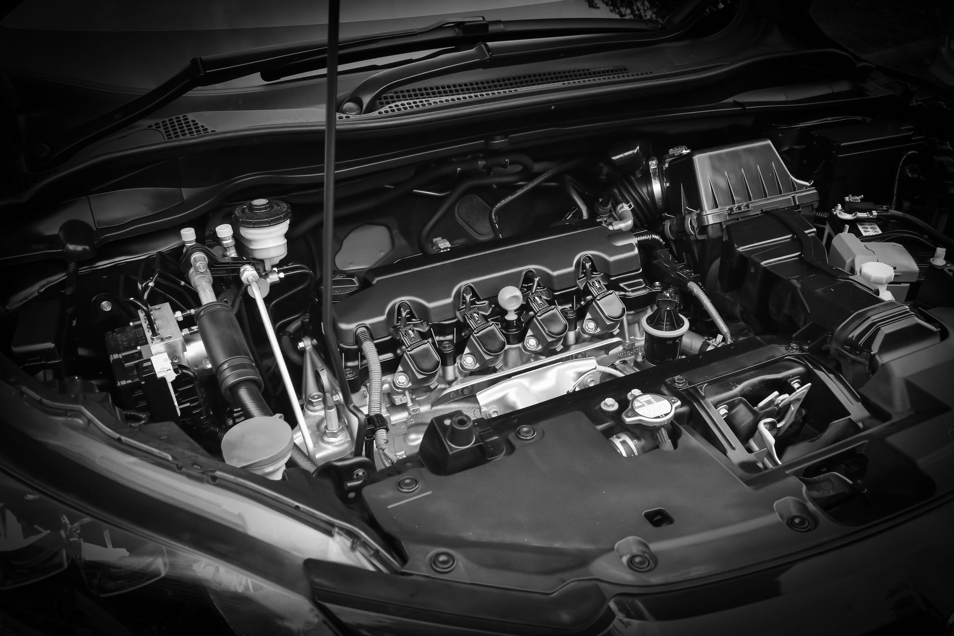 What Are The Different Types Of Fluids In A Car & When To Change Them | Boalsburg Car Company
