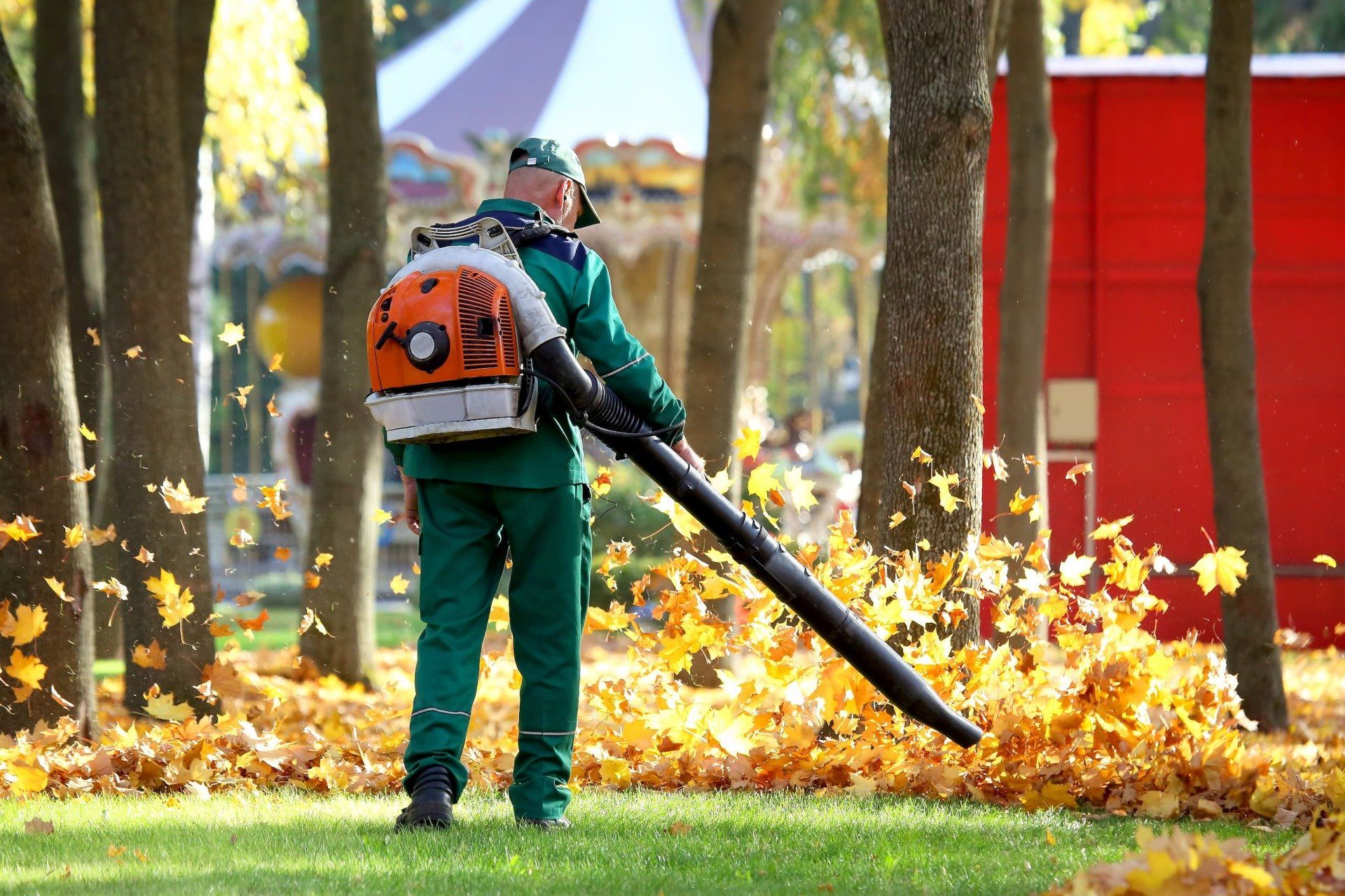 Spring And Fall Cleanups