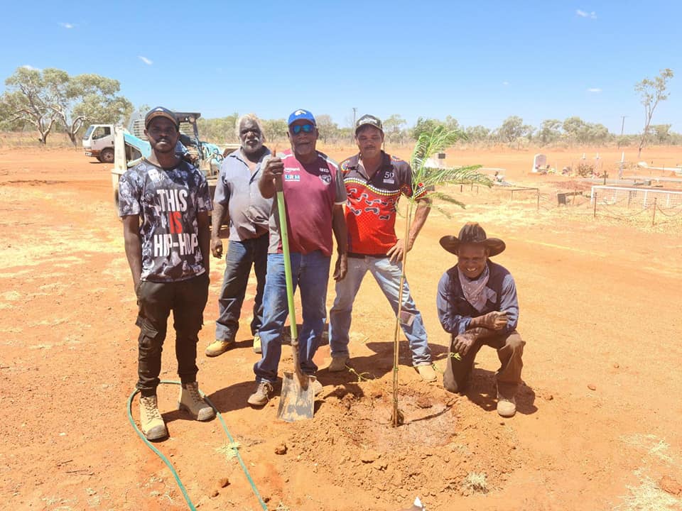 A group of men planting a tree in a dry, sunny landscape. They are smiling, holding a shovel, and kneeling by the sapling.