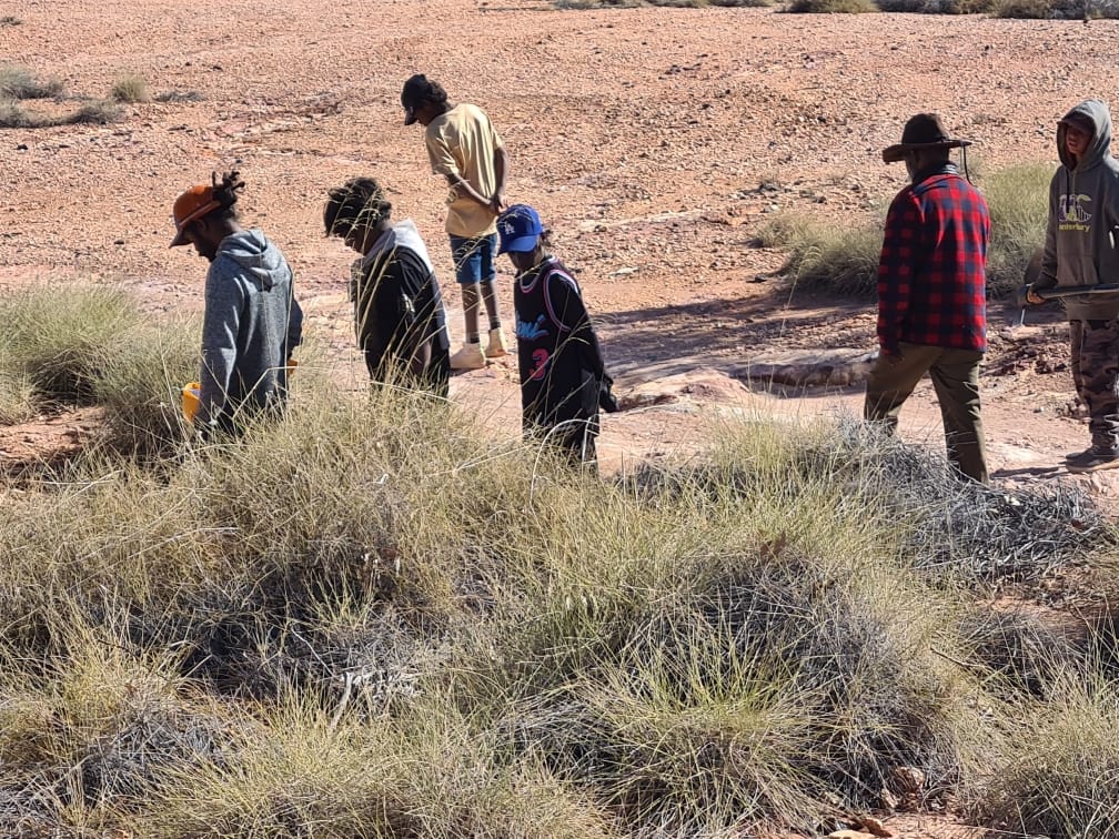 Group of people, some wearing hats, walking through dry, scrubby brush in a desert landscape.