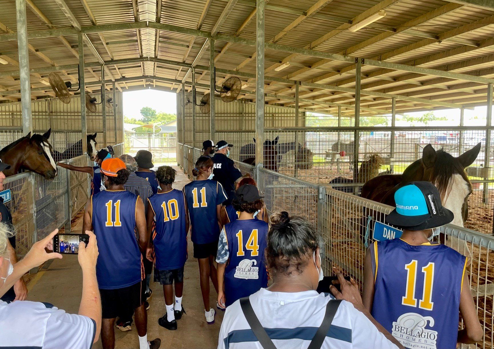 Group of people in blue and gold jerseys walking through a stable, observing horses and a donkey.