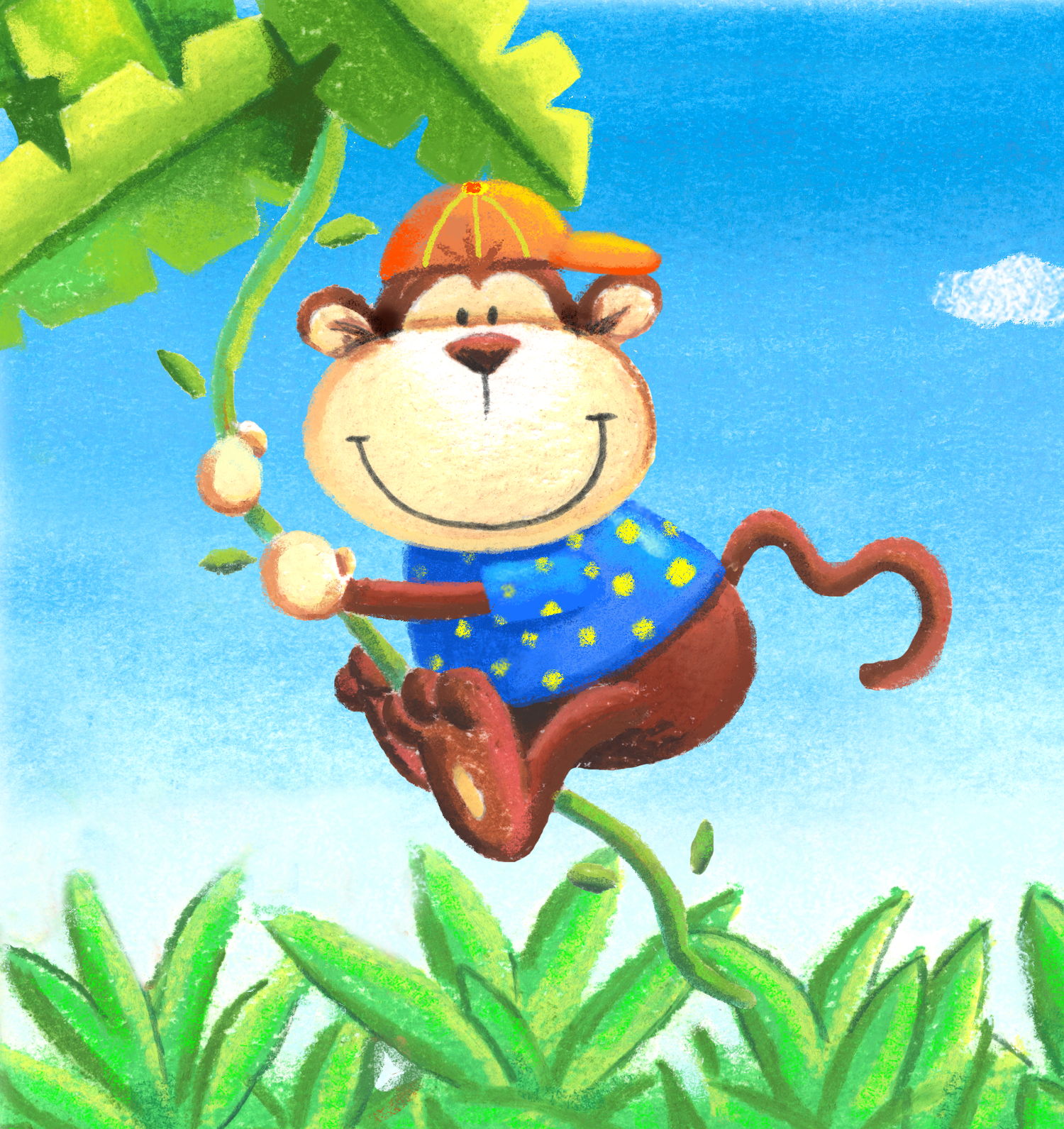 Monkey Smiley Valley