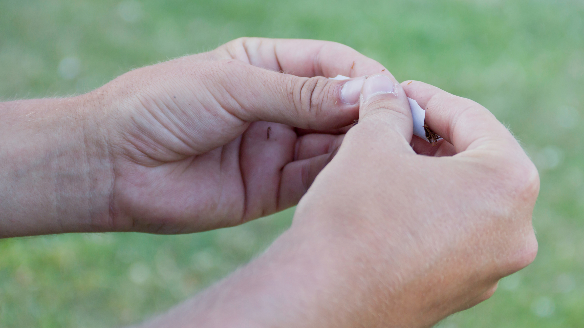 A person is holding a piece of paper in their hands.