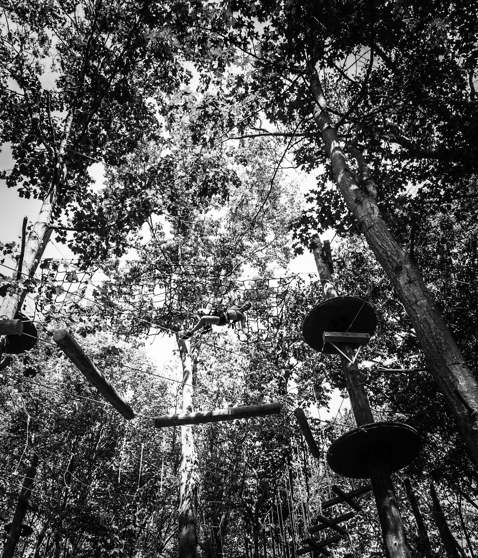 Climber on Expert Double Black Diamond trail of high ropes challenge course