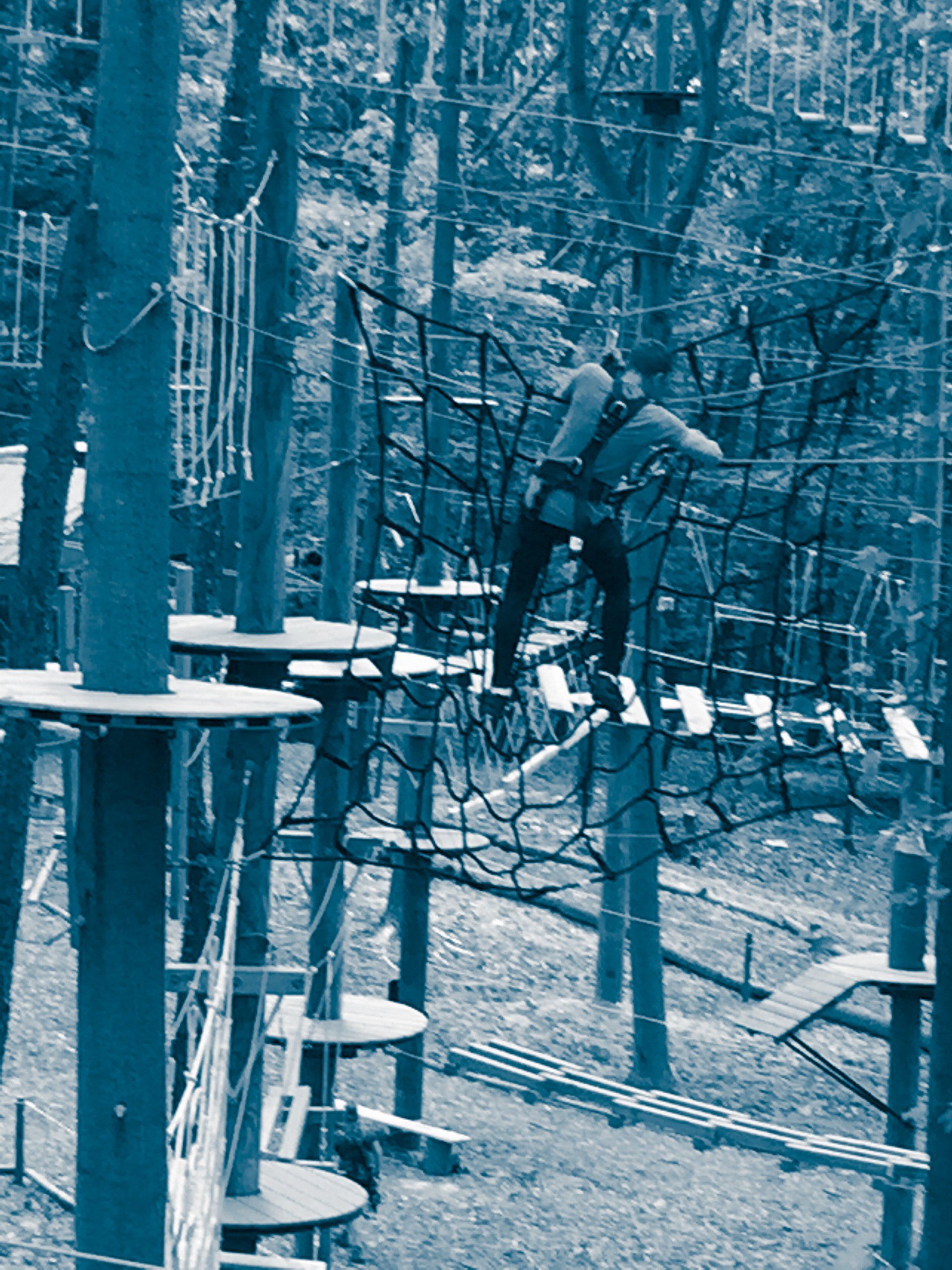 Climber on advanced blue trail of high ropes challenge course