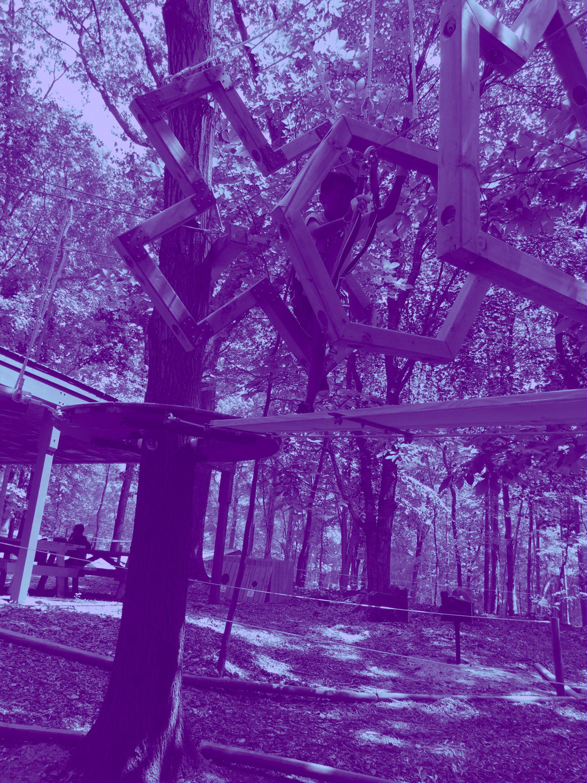 Climber on Easy purple trail of high ropes course