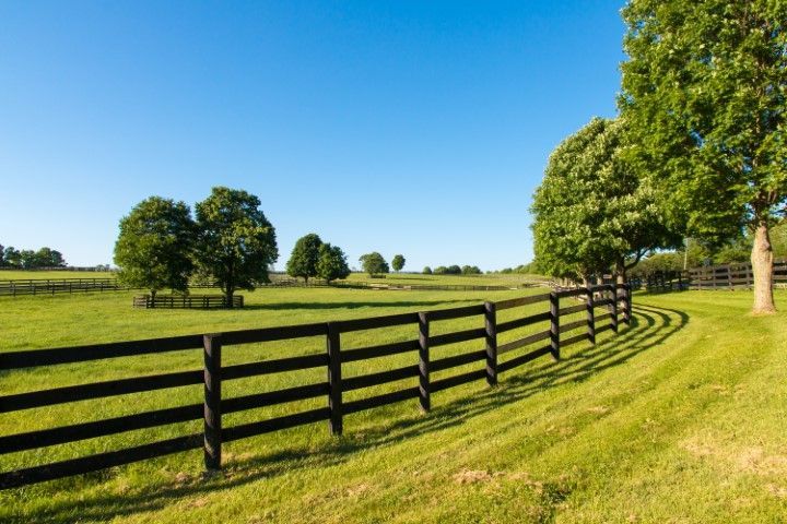 Green pasture with a black fence curving toward trees under a clear blue sky.
