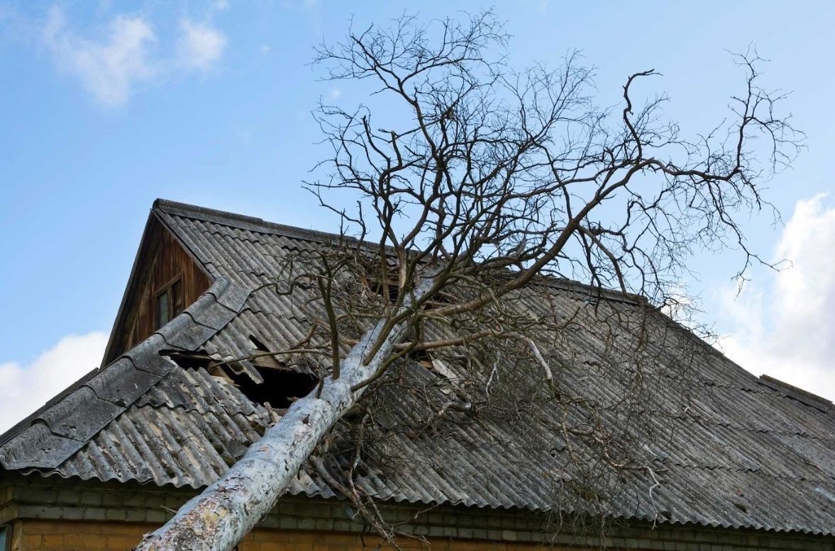 New Storm Damage Roof Repair Service Unveiled by Artisan Building & Remodeling in Berlin