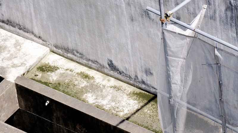 A bird is perched on a fence next to a concrete wall.