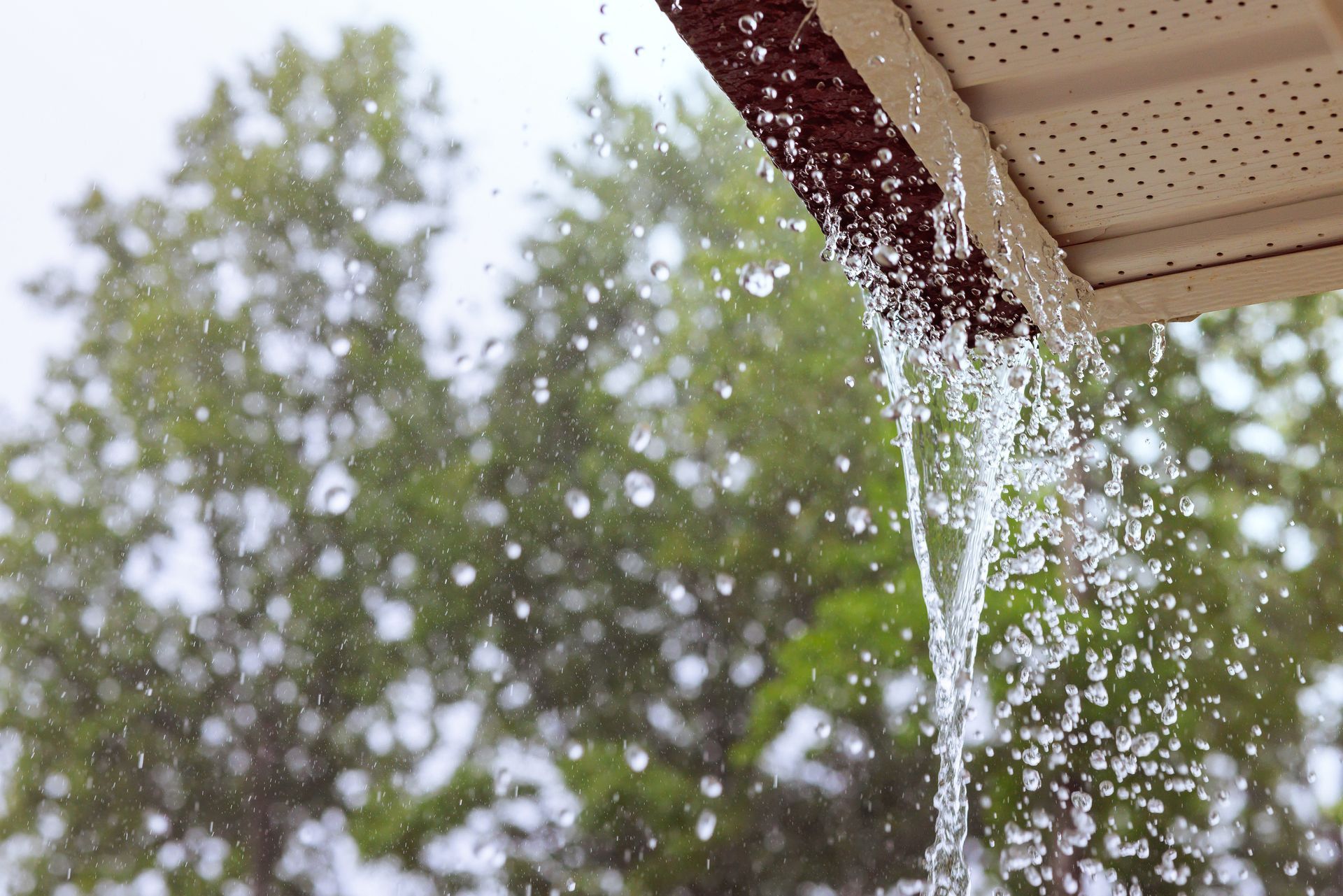 Heavy rain falling from the edge of a roof against a background of blurred green trees.