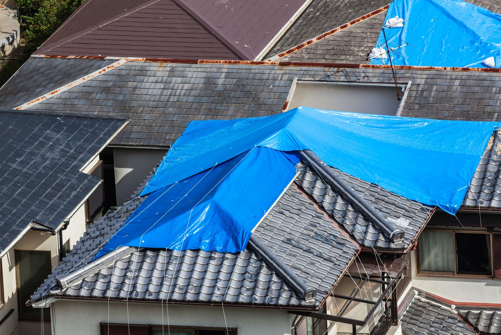 Blue tarps covering damaged rooftops in a residential area, protecting against rain.