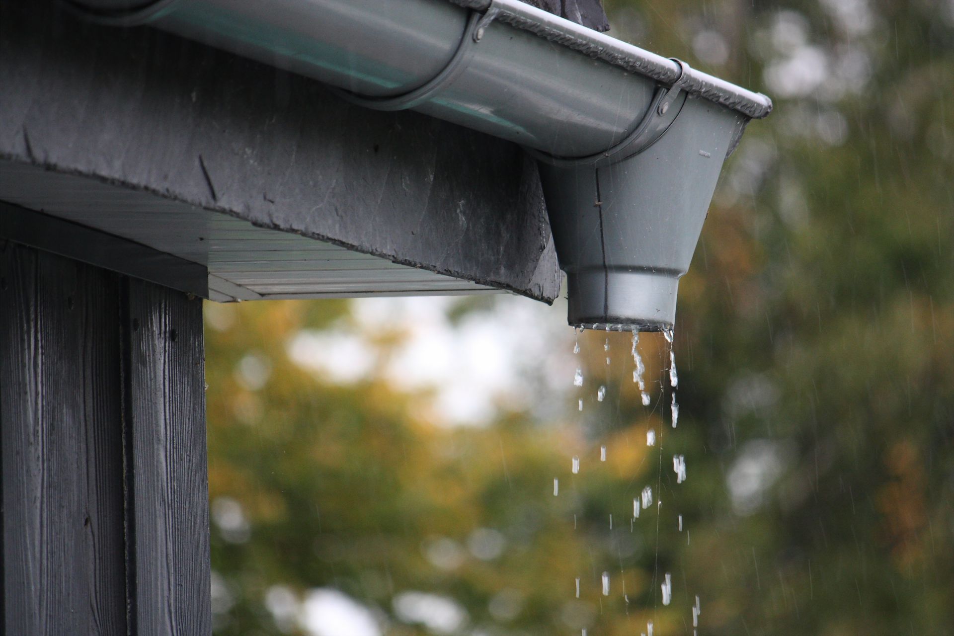Rain dripping from a gray roof gutter with a downspout, against a blurred autumn background