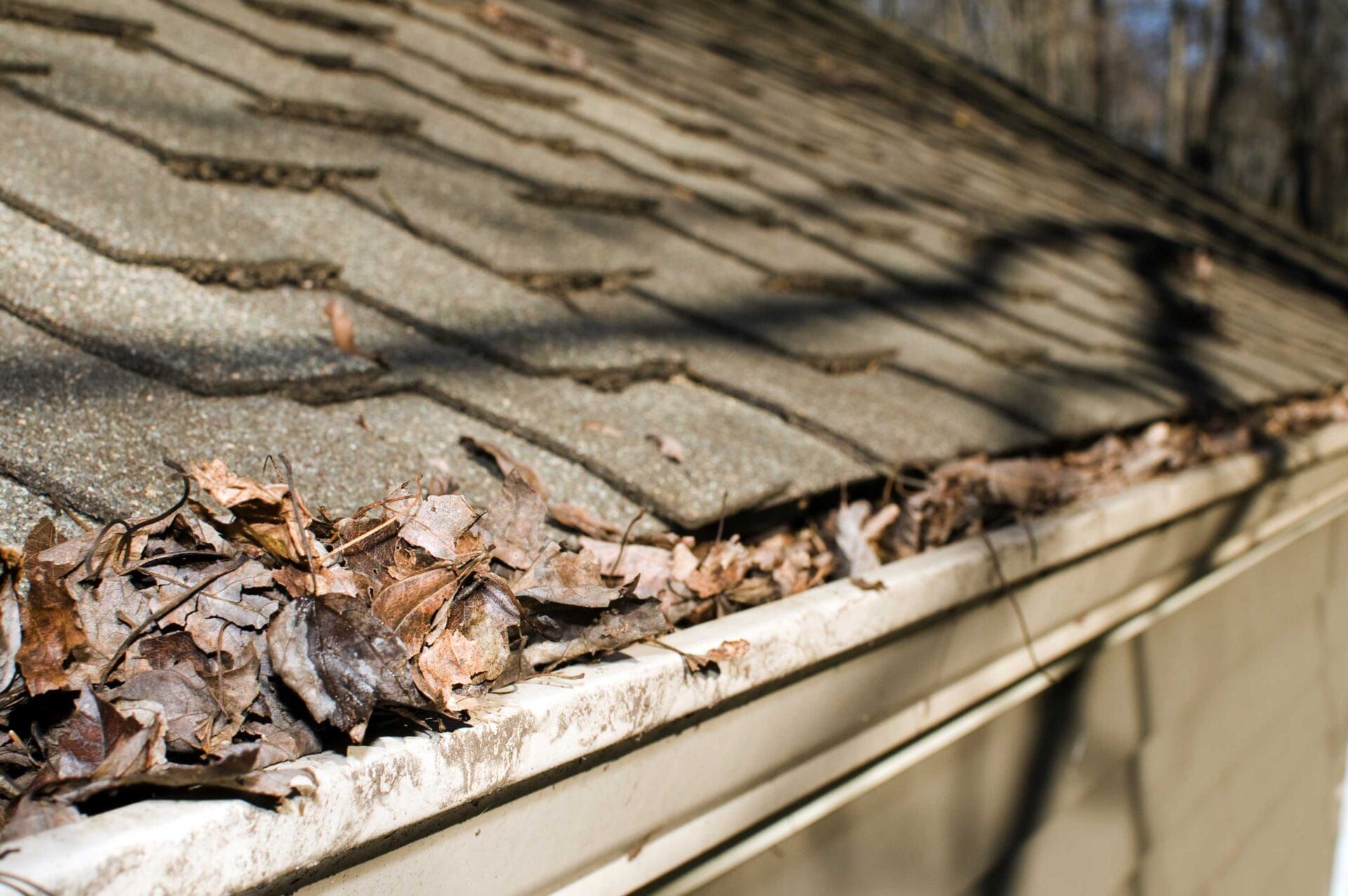 A gutter with leaves on it and a roof in the background.