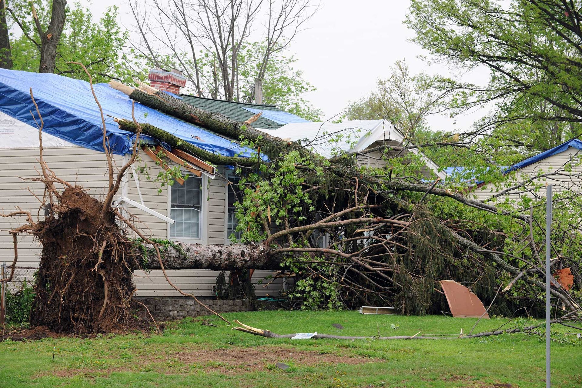 A house with a tree fallen on it and a tarp on the roof.