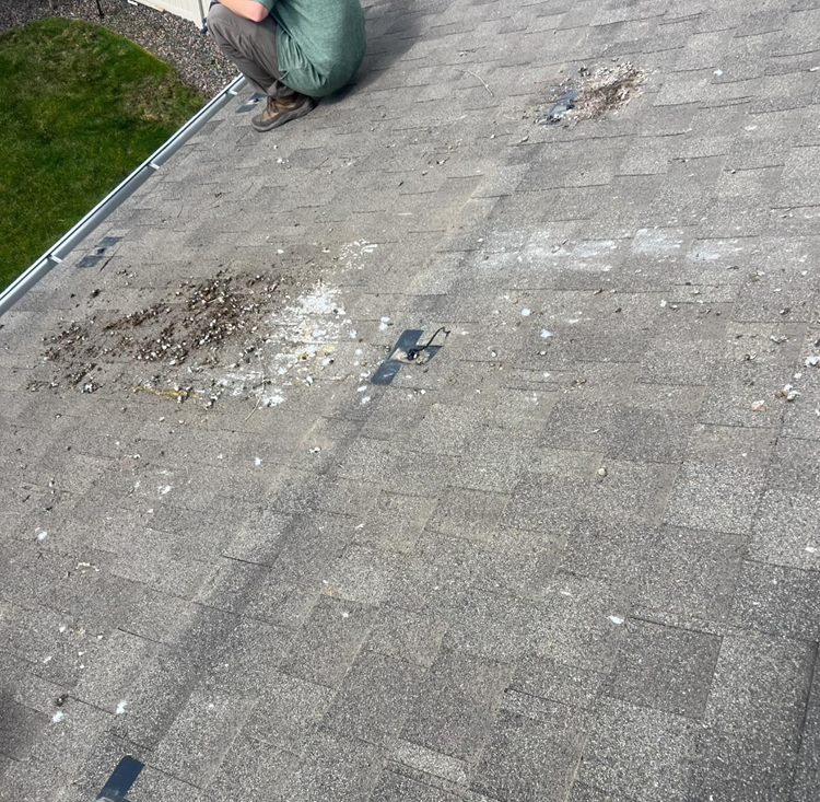 A man is squatting on a roof with a shadow on it