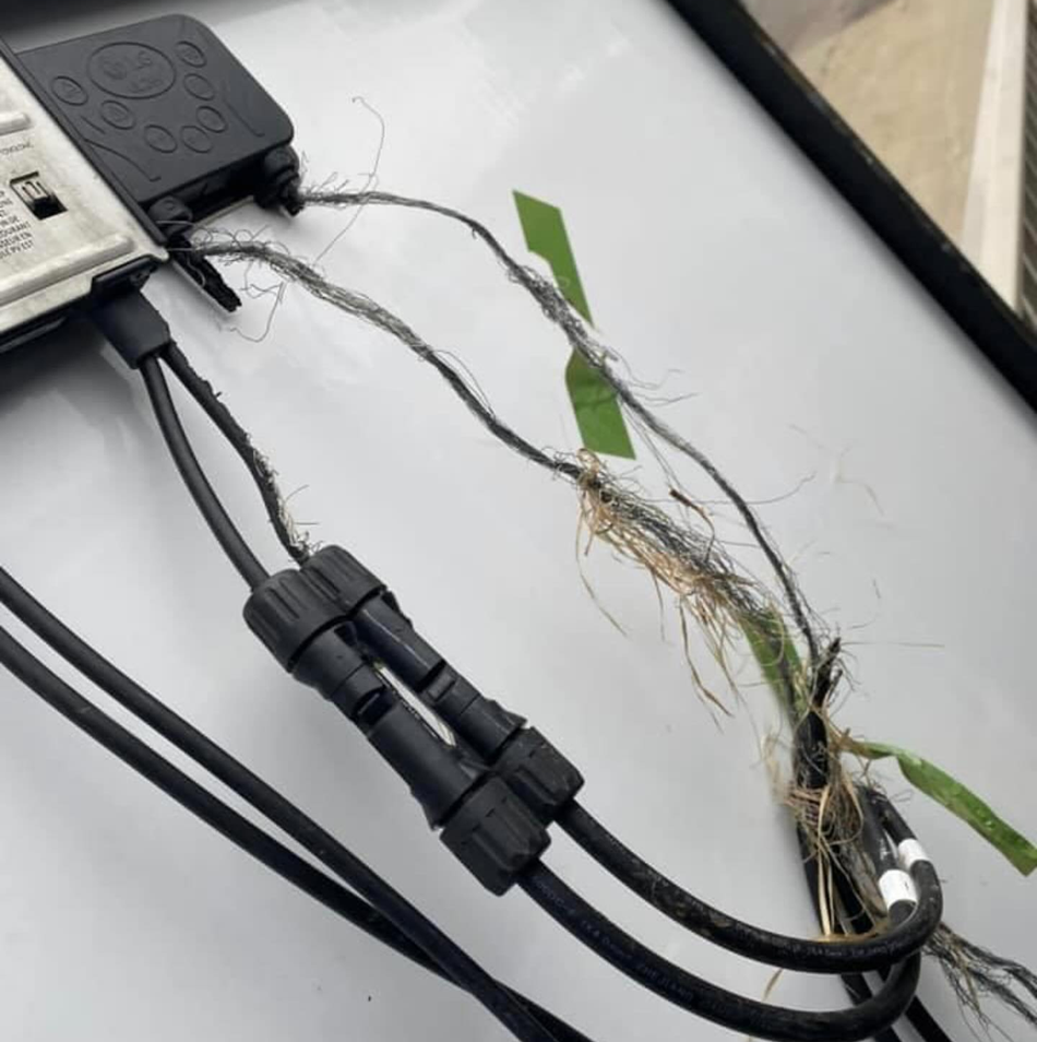 A cell phone is plugged into a charger with a green sticker on it