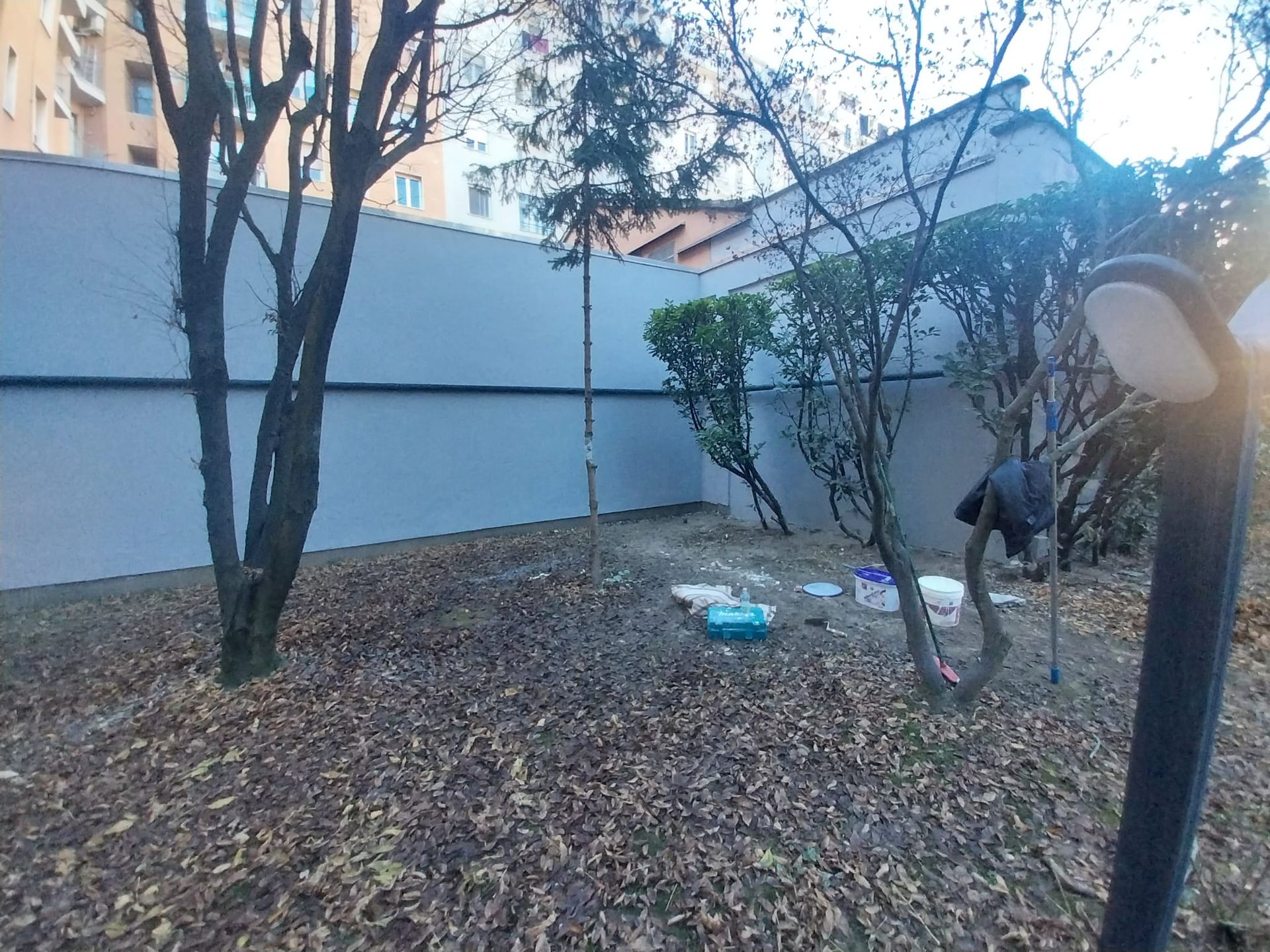 Un cortile con alberi e cespugli spogli contro un muro grigio. Detriti sparsi sul terreno.
