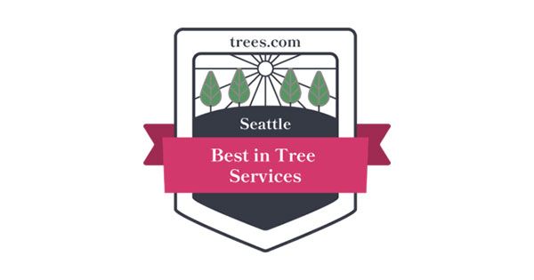 Best-In-Tree-Services-In-Seattle-Treesdotcom