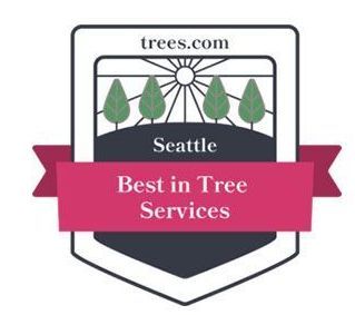 Best in Tree Services Award