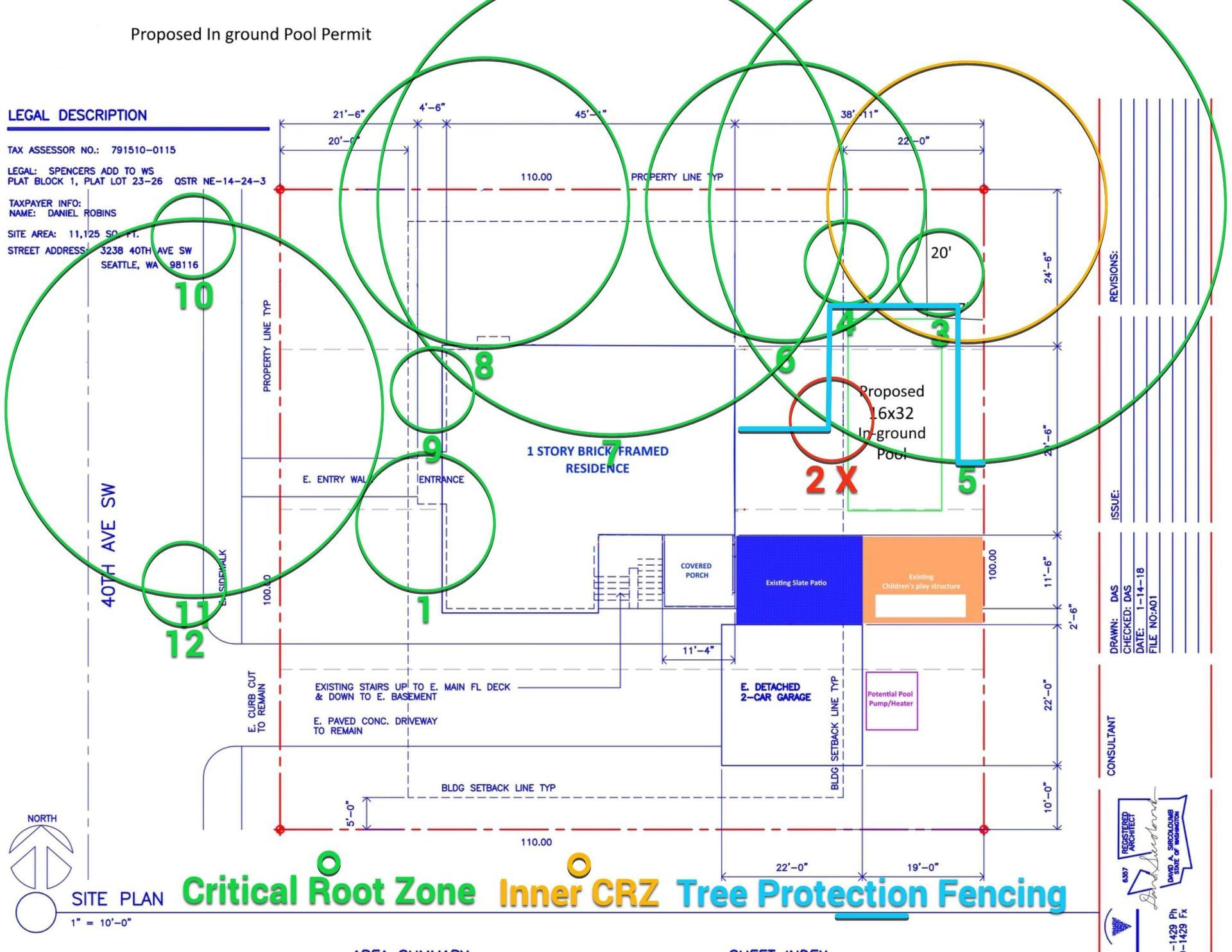 Arborist tree protection plan for regulated trees in Bellevue WA