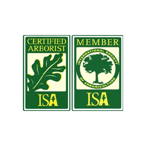 ISA badges