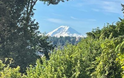 View of Mt. Ranier after branch removal by Sound Tree Care