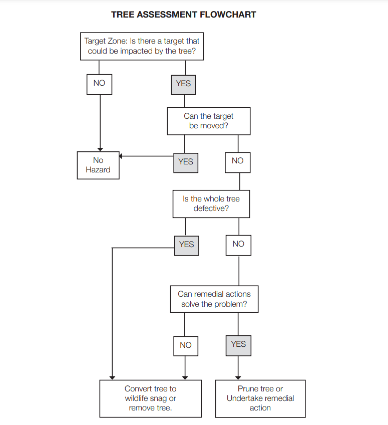 SDCI Tree Assessment Flow Chart To Determine If The Tree Requires Removal