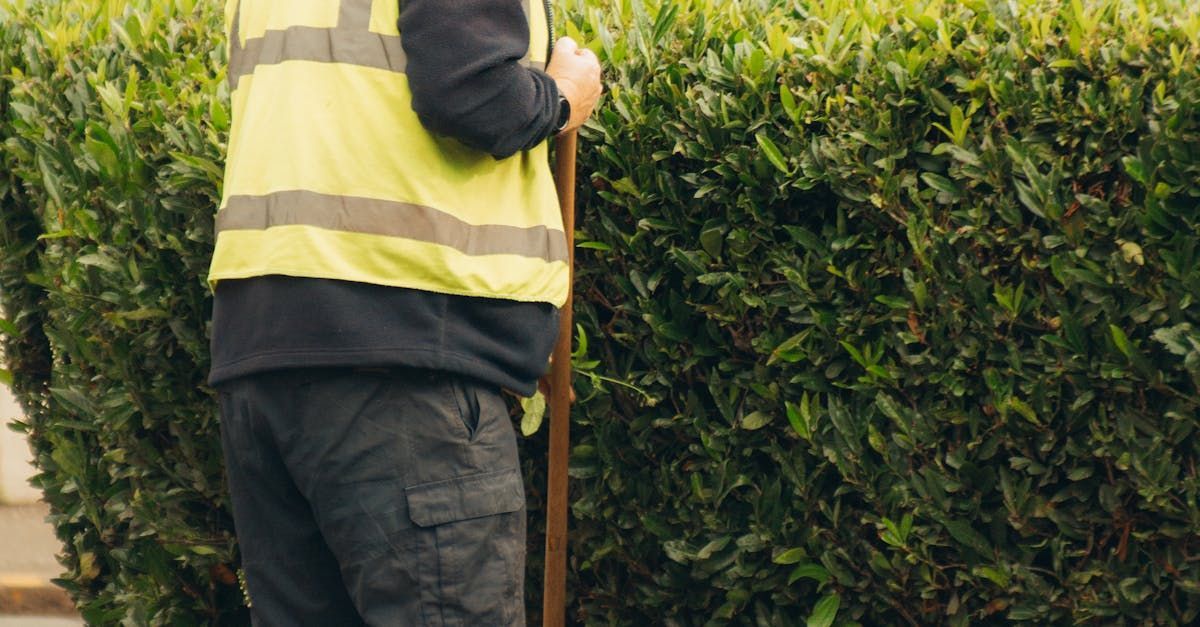 Person in a yellow safety vest trims a green hedge outdoors.