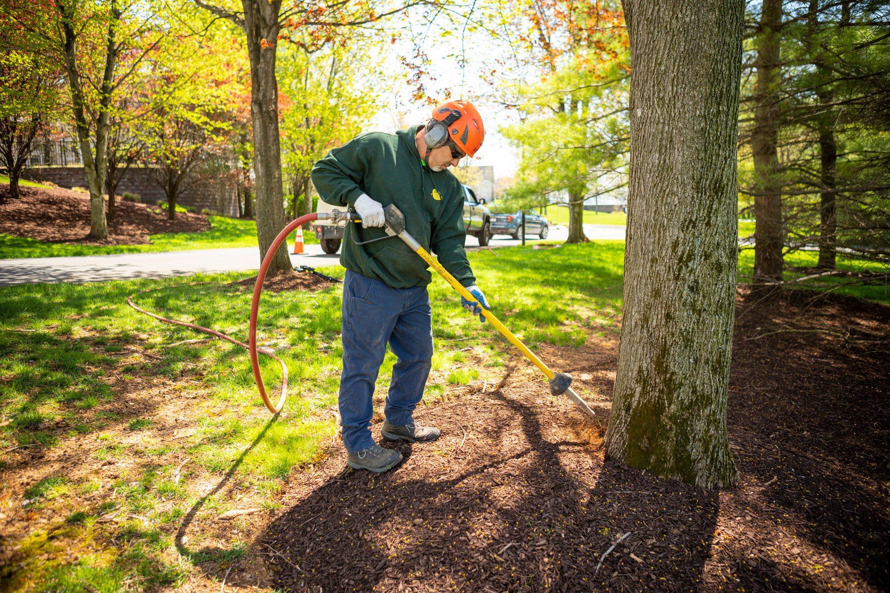 Worker spraying mulch around a tree in a sunny park