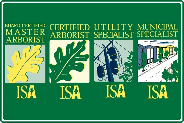 types of arborist certifications