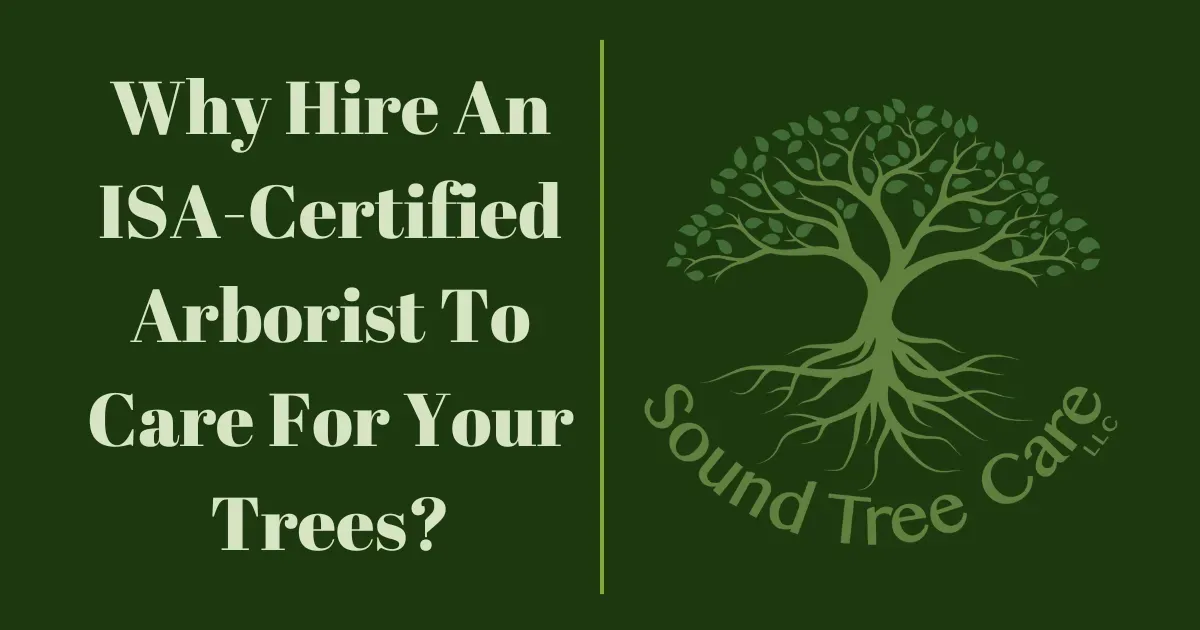 why hire an ISA-certified arborist to care for your trees in Seattle, WA