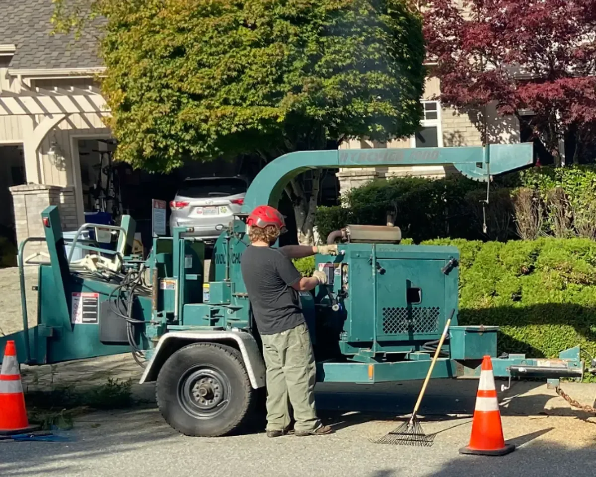 arborist brush chippping