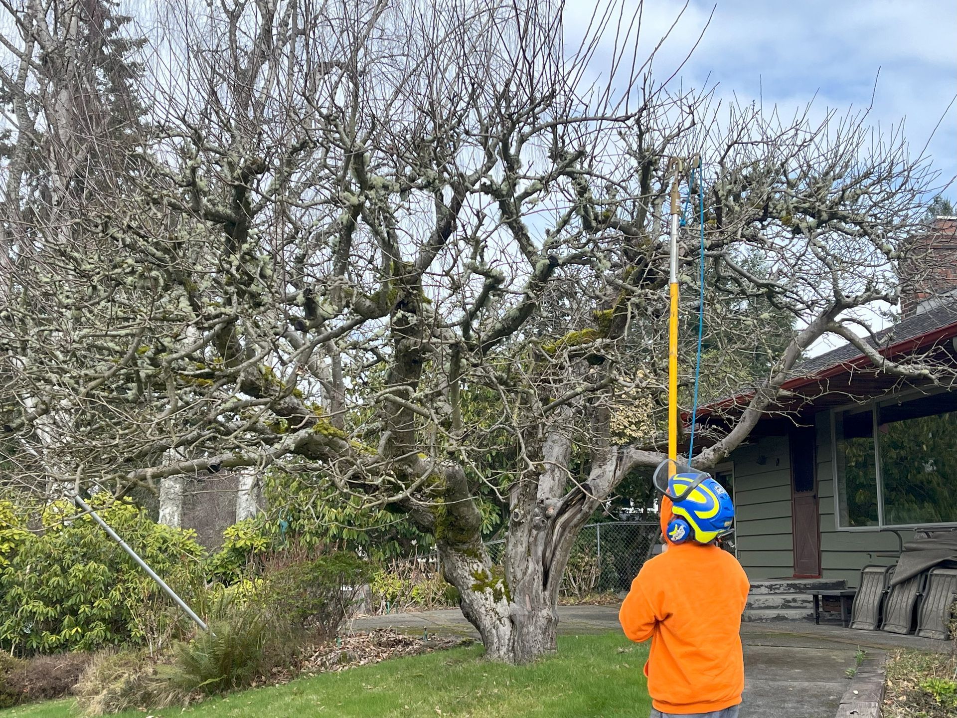 a man is standing in front of a house pruning tree .