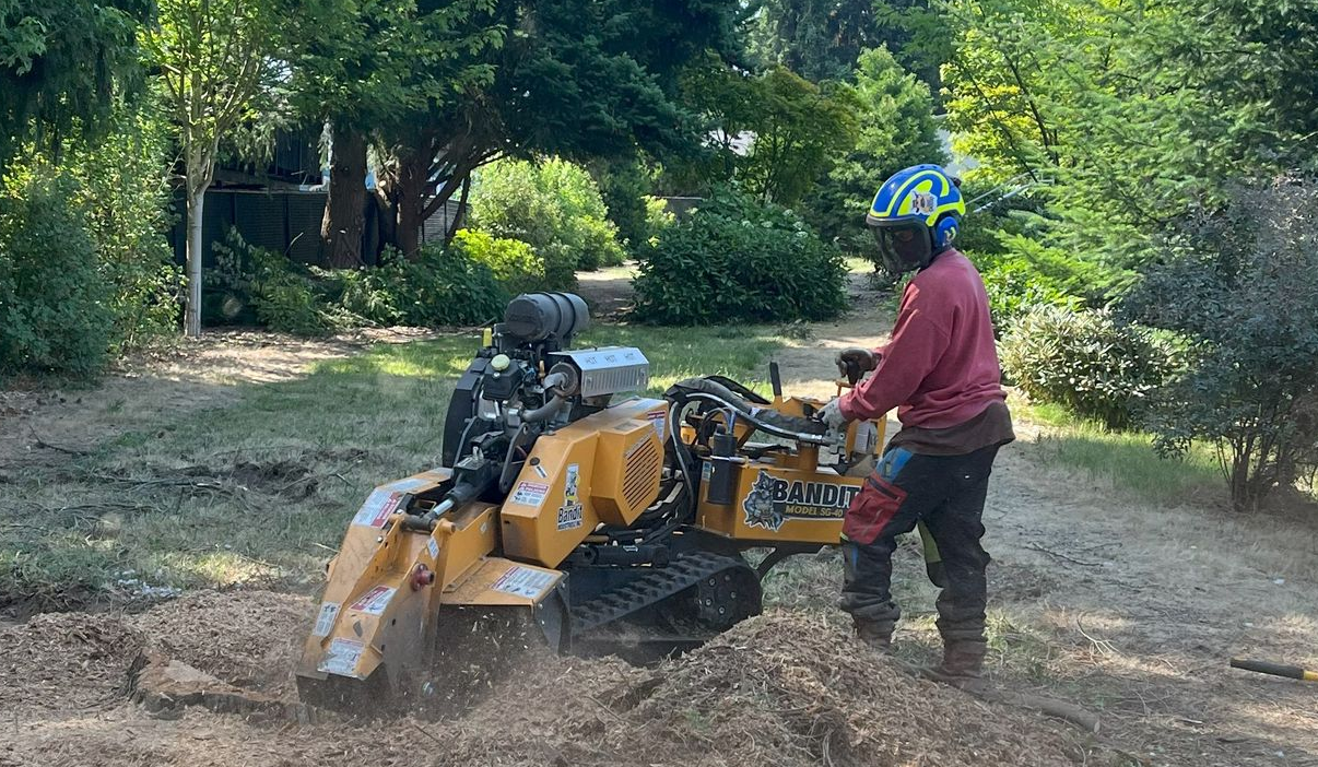 ISA Arborist Stump Grinding at Seattle