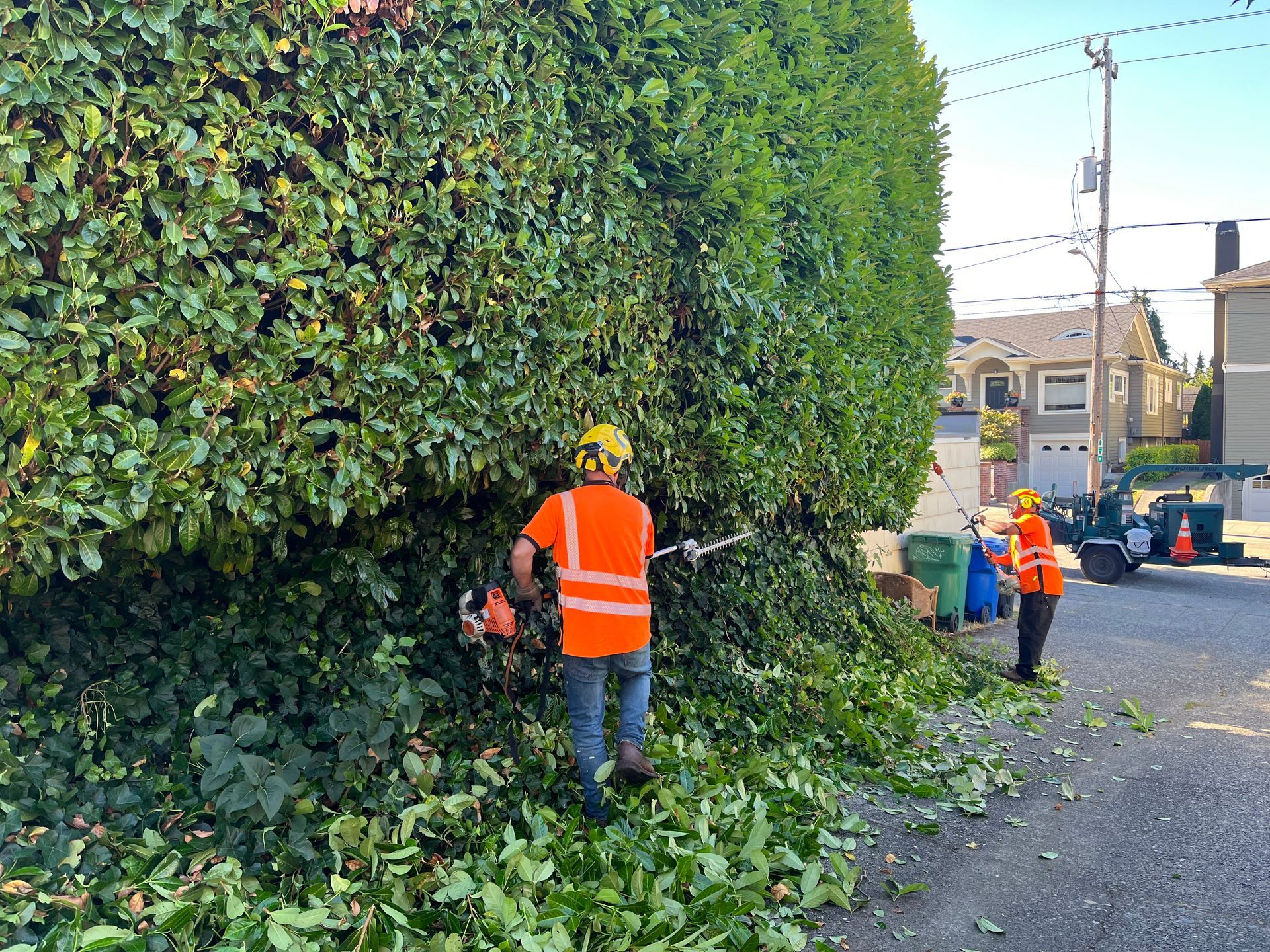 hedge trimmers hedge trimming