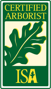 ISA Certified Arborist Bellevue WA