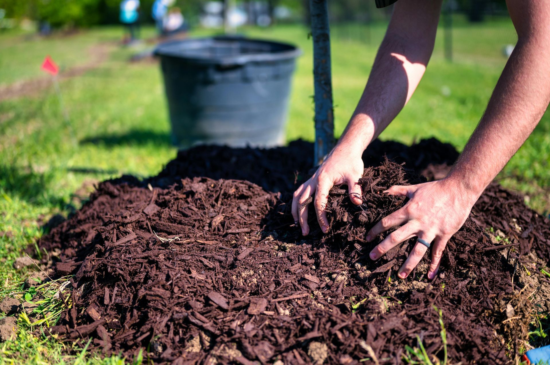 Hands spreading dark mulch in a garden bed beside a bucket on grass.