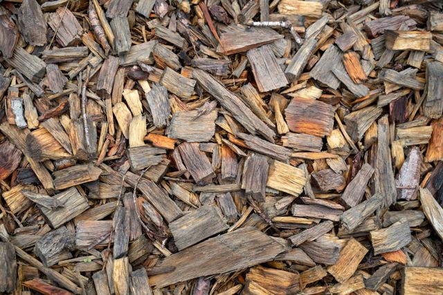 Close-up of brown wood chips and mulch pieces covering the ground.
