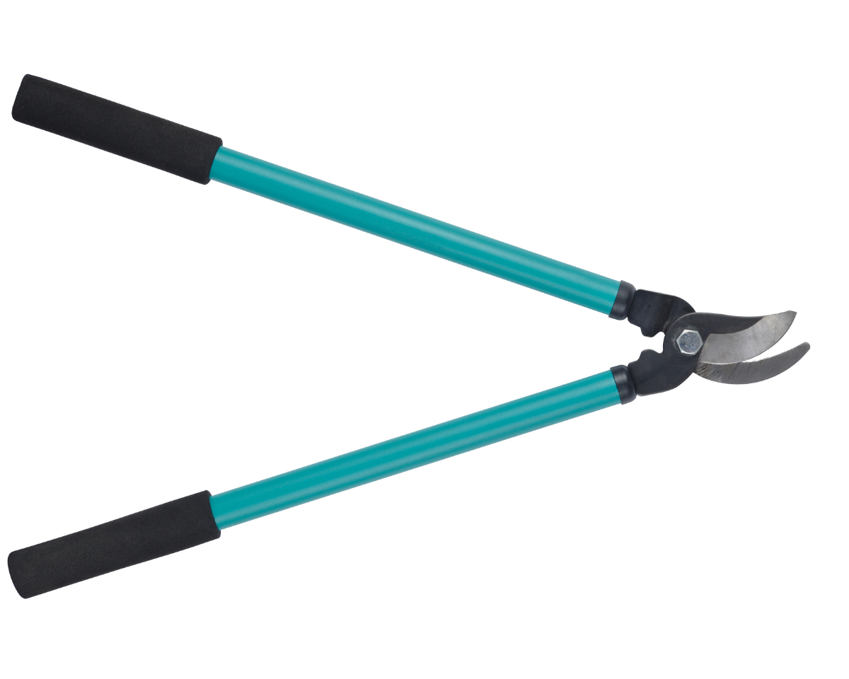 loppers for pruning shrub and bushes