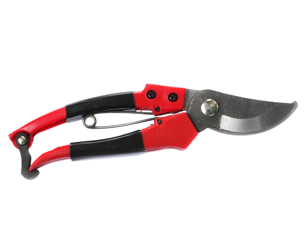hand pruners