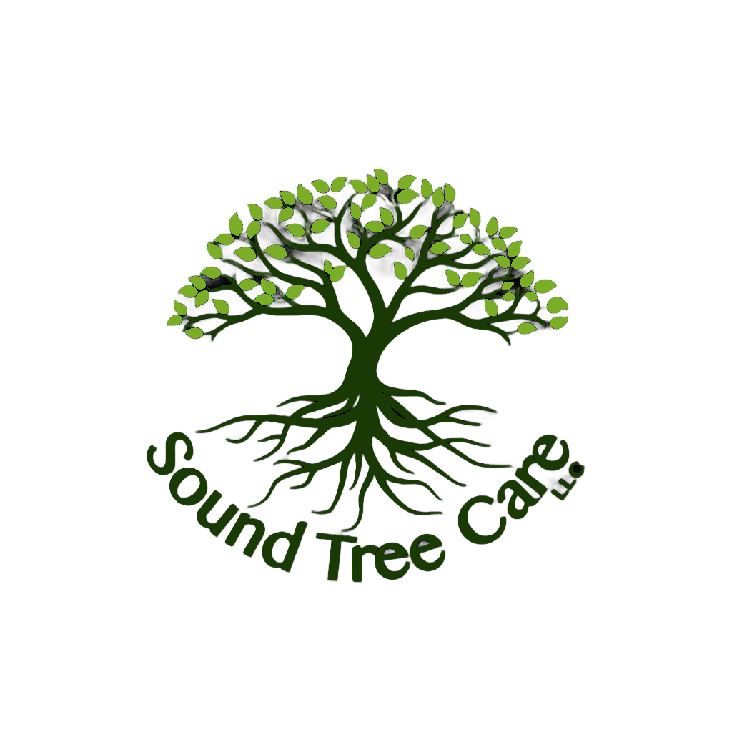 Sound Tree Care Logo