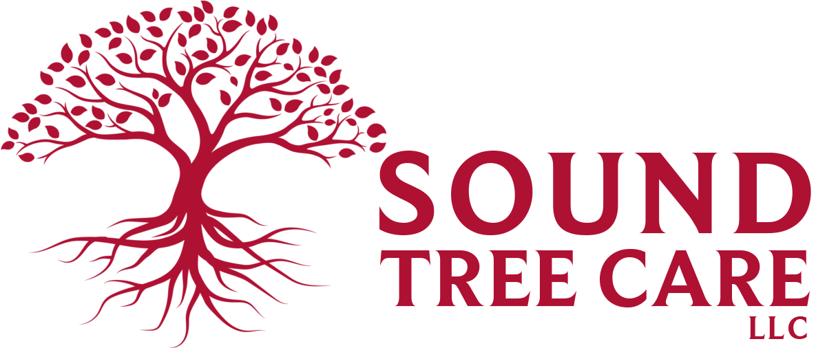 Sound Tree Care certified arborist logo
