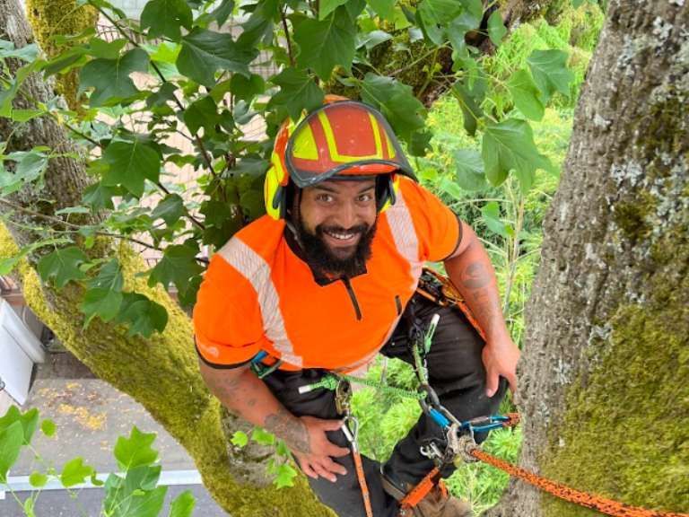 Man Smiling on the tree doing tree service in Tacoma