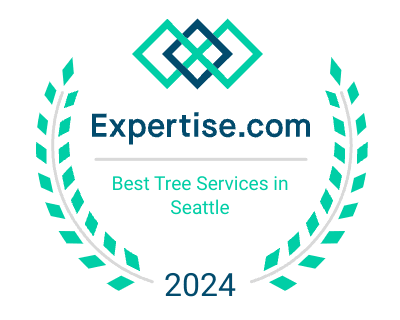 Best Tree Services in Seattle 2024