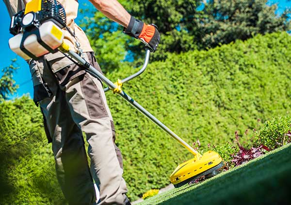 Landscaping West Seattle