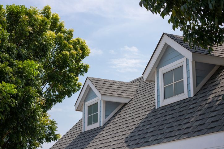 Roof shingles with garret house on top of the house among a lot of trees