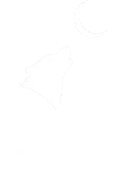 Faint pencil sketch of a howling wolf under a crescent moon on a blank white background